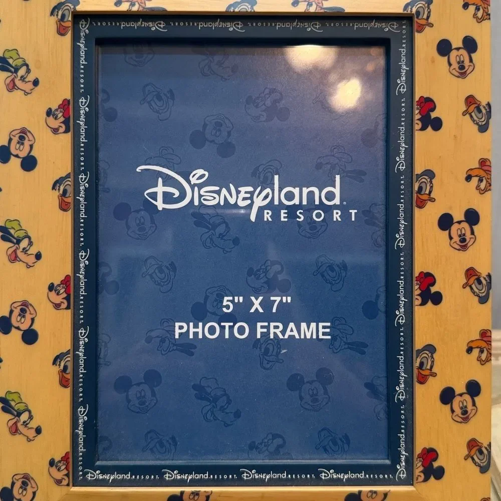 Vintage Disneyland Resort Wooden Photo Picture Frame 5x7